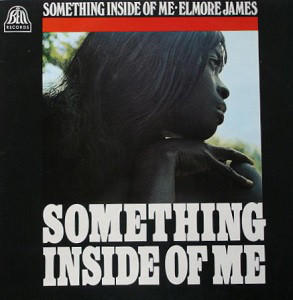 ELMORE JAMES - Something Inside Of Me cover 
