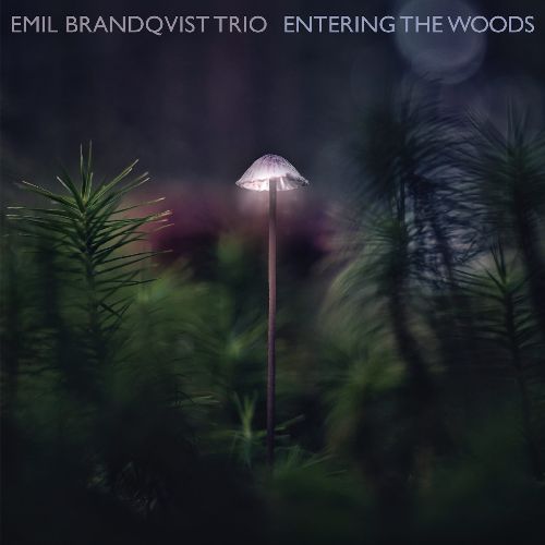 EMIL BRANDQVIST - Entering The Woods cover 
