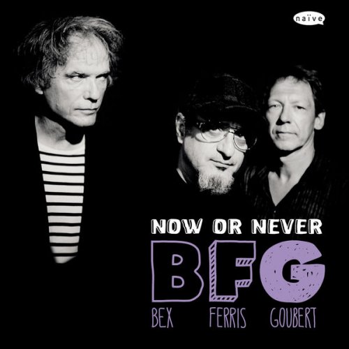 EMMANUEL BEX - Emmanuel Bex, Glenn Ferris, Simon Goubert : BFG - Now Or Never cover 