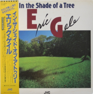 ERIC GALE - In The Shade Of A Tree cover 