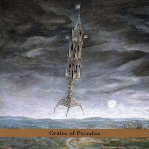 ERIK FRIEDLANDER - Grains of Paradise cover 