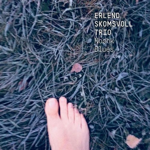 ERLEND SKOMSVOLL - Erlend Skomvoll Trio : Noshk Blues cover 