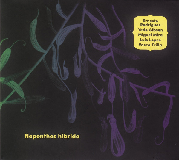 ERNESTO RODRIGUES - Ernesto Rodrigues, Yedo Gibson, Miguel Mira, Luis Lopes, Vasco Trilla ‎: Nepenthes Hibrida cover 