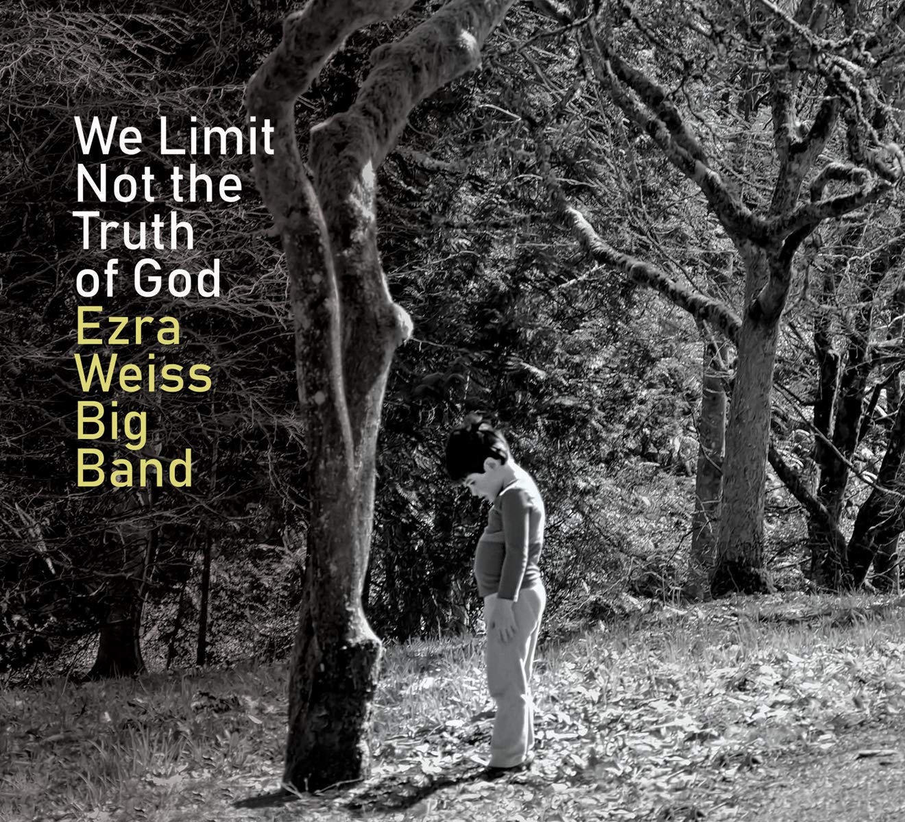 EZRA WEISS - Ezra Weiss Big Band : We Limit Not The Truth Of God cover 
