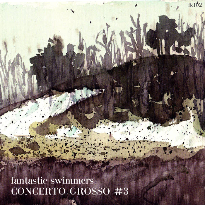 FANTASTIC SWIMMERS - Concerto Grosso #3 cover 