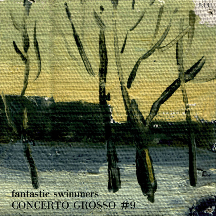 FANTASTIC SWIMMERS - Concerto Grosso #9 cover 