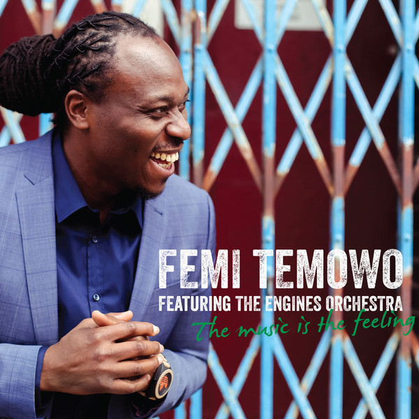 FEMI TEMOWO - Femi Temowo featuring The Engines Orchestra ‎: The Music Is The Feeling cover 