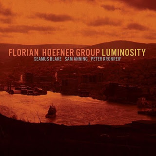 FLORIAN HOEFNER - Luminosity cover 