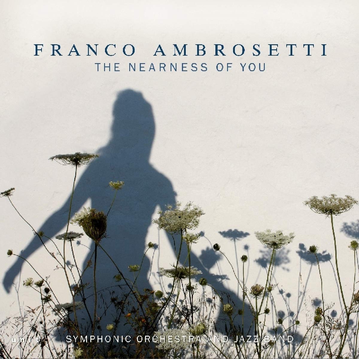 FRANCO AMBROSETTI - The Nearness of you cover 