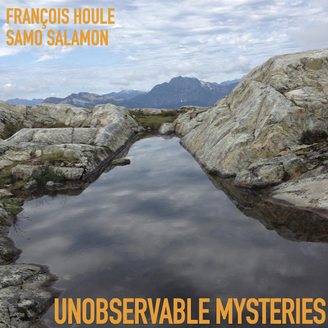 FRANÇOIS HOULE - Francois Houle & Samo Salamon : Unobservable Mysteries cover 