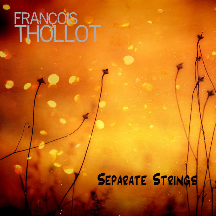FRANÇOIS THOLLOT - Separate Strings cover 