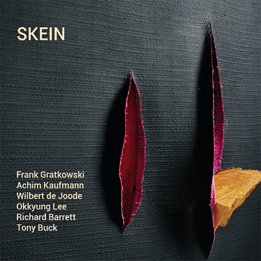 FRANK GRATKOWSKI - Skein cover 