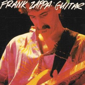 FRANK ZAPPA - Guitar cover 