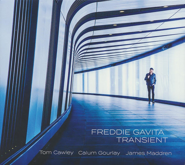 FREDDIE GAVITA - Transient cover 