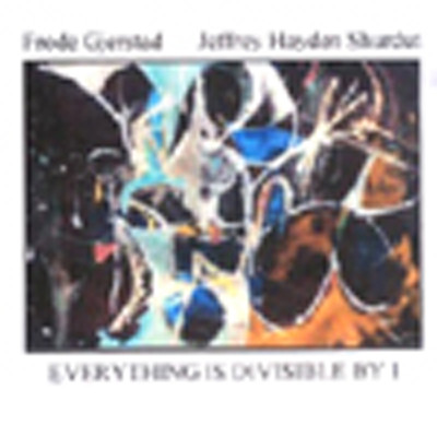 FRODE GJERSTAD - Frode Gjerstad, Jeffrey Hayden Shurdut : Everything Is Divisible By 1 cover 