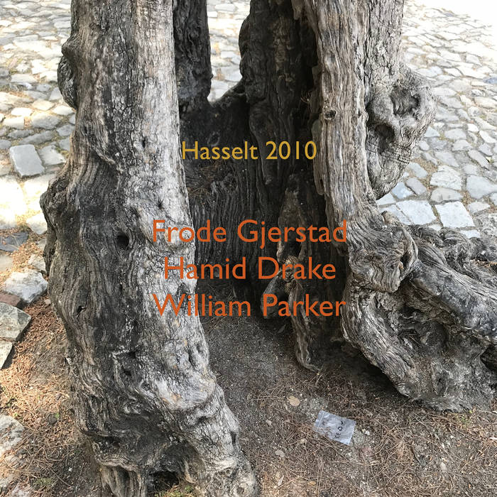 FRODE GJERSTAD - Hasselt 2010 cover 