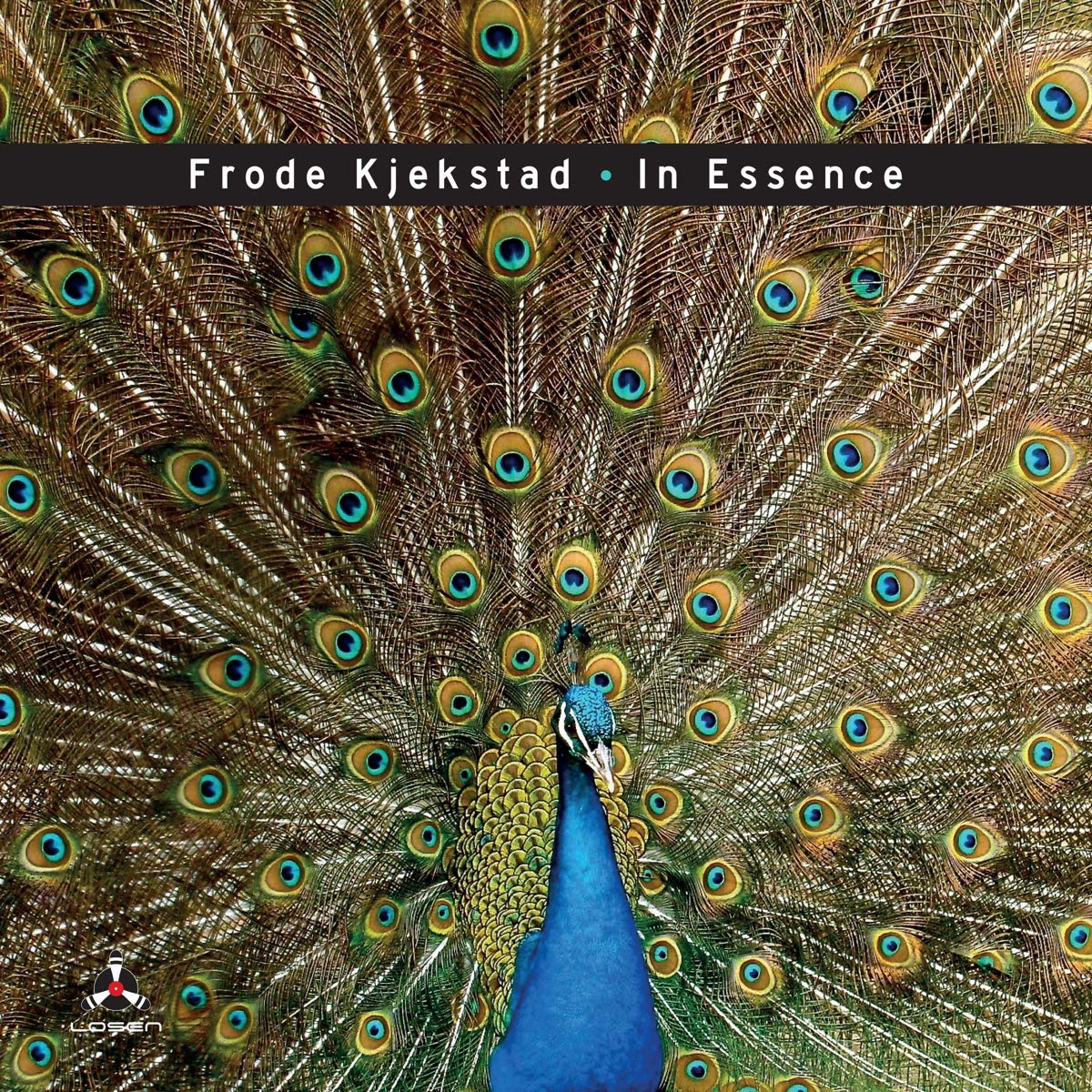 FRODE KJEKSTAD - In Essence cover 
