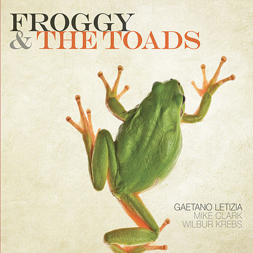 GAETANO LETIZIA - Froggy & The Toads cover 