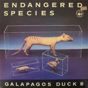 GALAPAGOS DUCK - Endangered Species cover 