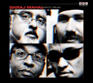 GARAJ MAHAL - More Mr. Nice Guy cover 