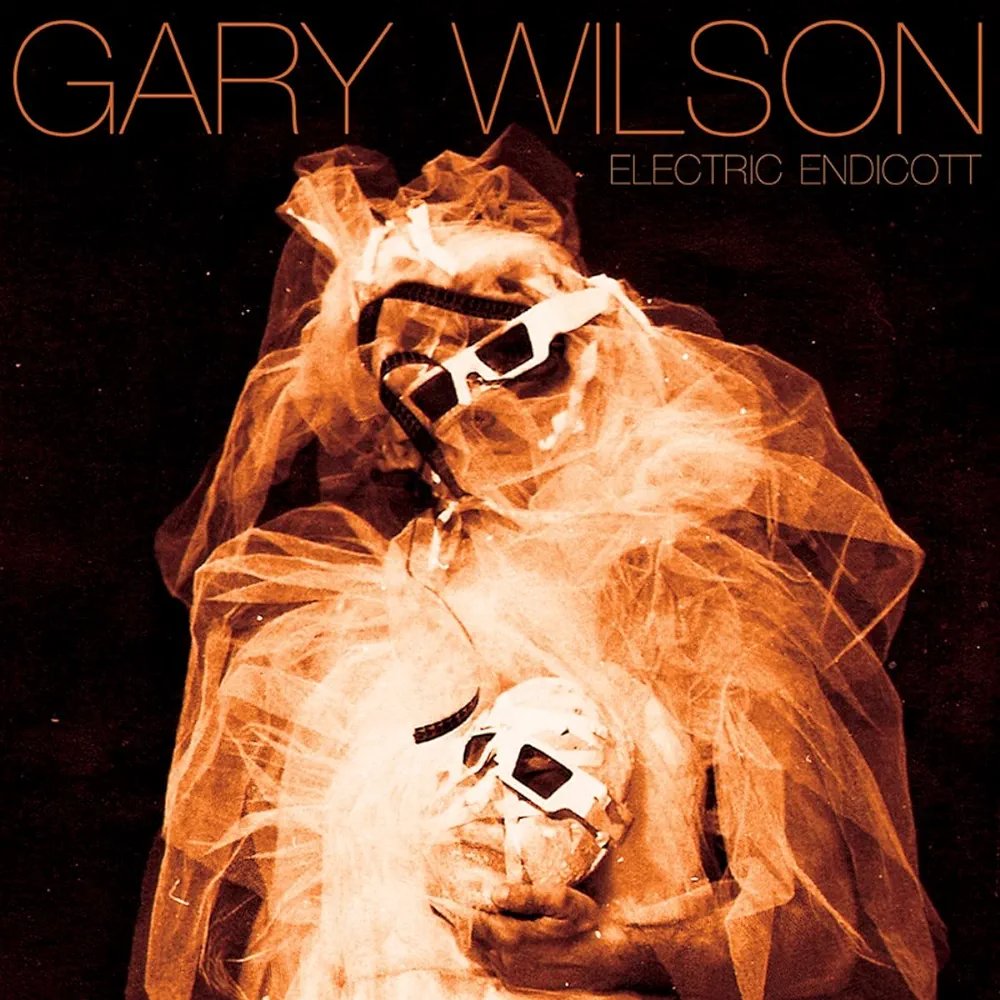 GARY WILSON - Electric Endicott cover 