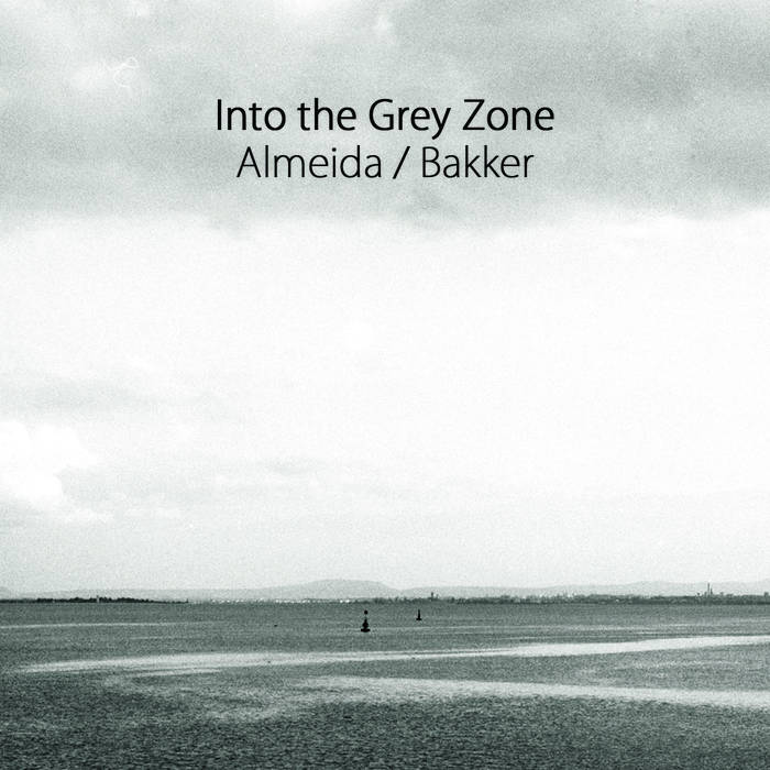 GONÇALO ALMEIDA - Almeida / Bakker : Into the Grey Zone cover 