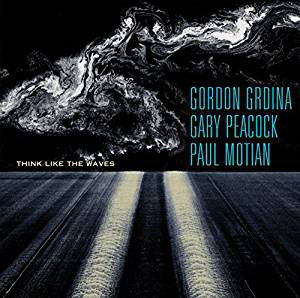 GORDON GRDINA - Gordon Grdina / Gary Peacock / Paul Motian ‎: Think Like The Waves cover 