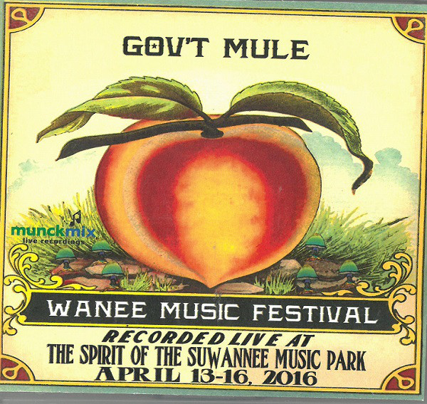 GOV'T MULE - Live At 2016 Wanee Festival cover 