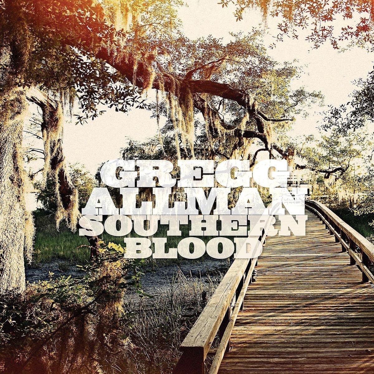 GREGG ALLMAN - Southern Blood cover 