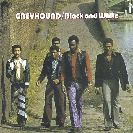 GREYHOUND - Black And White cover 