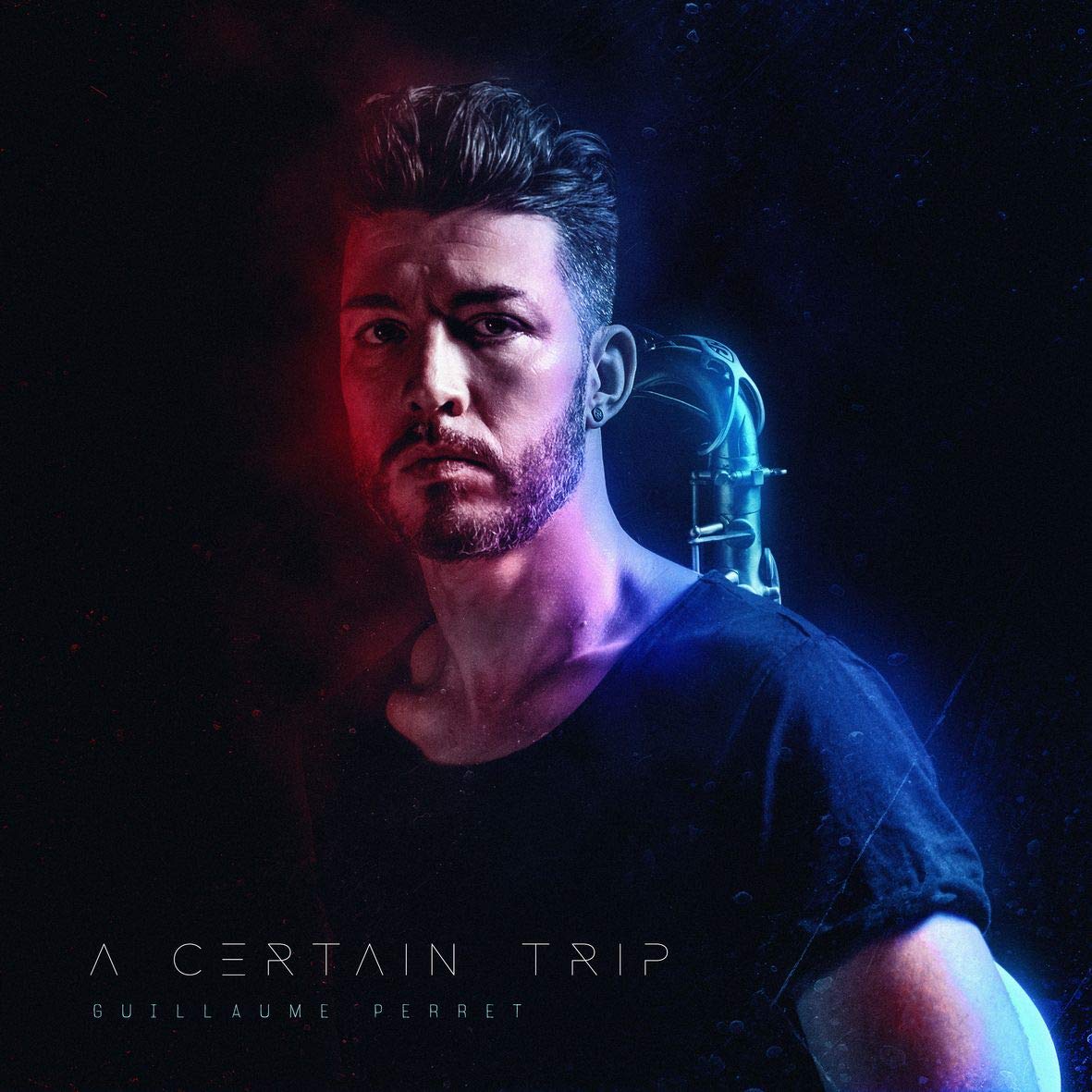 GUILLAUME PERRET - A Certain Trip cover 