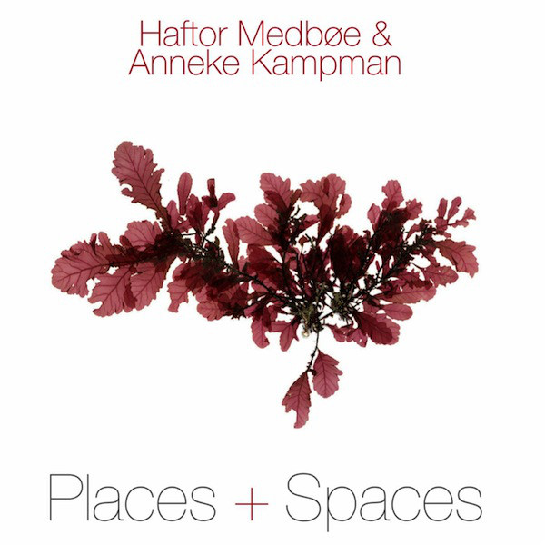 HAFTOR MEDBØE - Haftor Medbøe & Anneke Kampman : Places & Spaces cover 