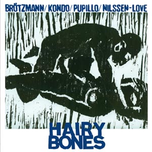 HAIRY BONES - Hairy Bones cover 