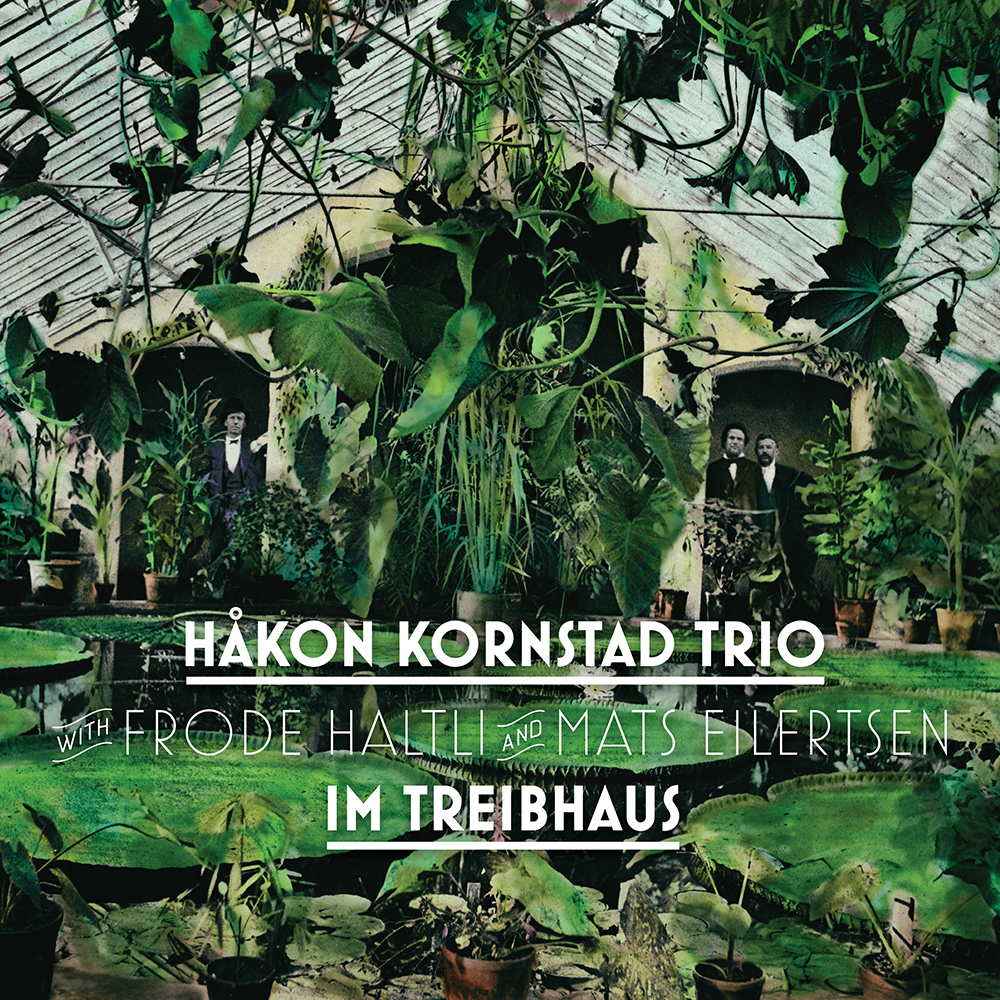 HÅKON KORNSTAD - Im Treibhaus cover 