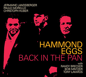 HAMMOND EGGS - Back In The Pain cover 