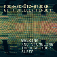 HANS KOCH - Koch-Schütz-Studer With Shelley Hirsch : Walking And Stumbling Through Your Sleep cover 