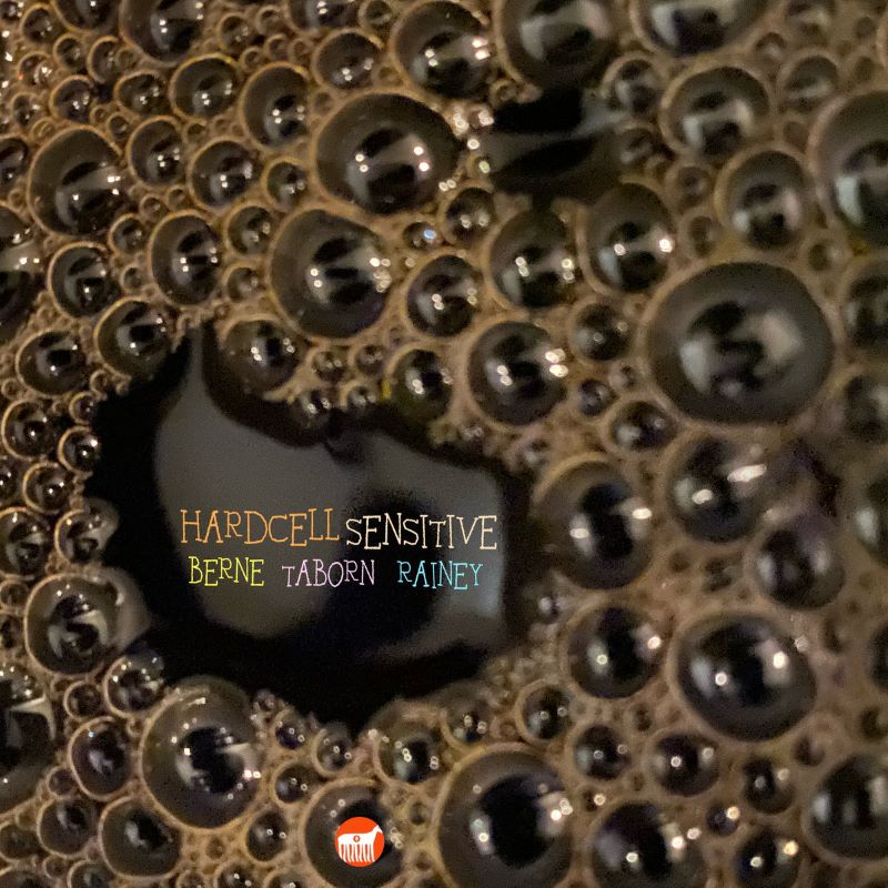 HARDCELL (BERNE + TABORN + RAINEY) - Sensitive cover 