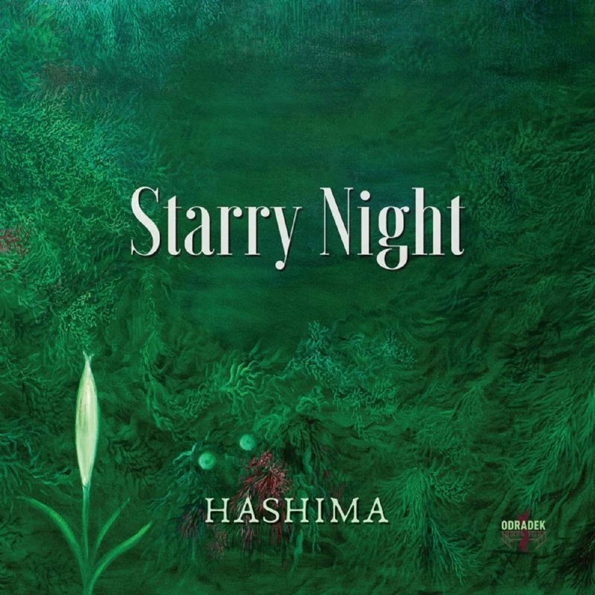 HASHIMA - Starry Night cover 