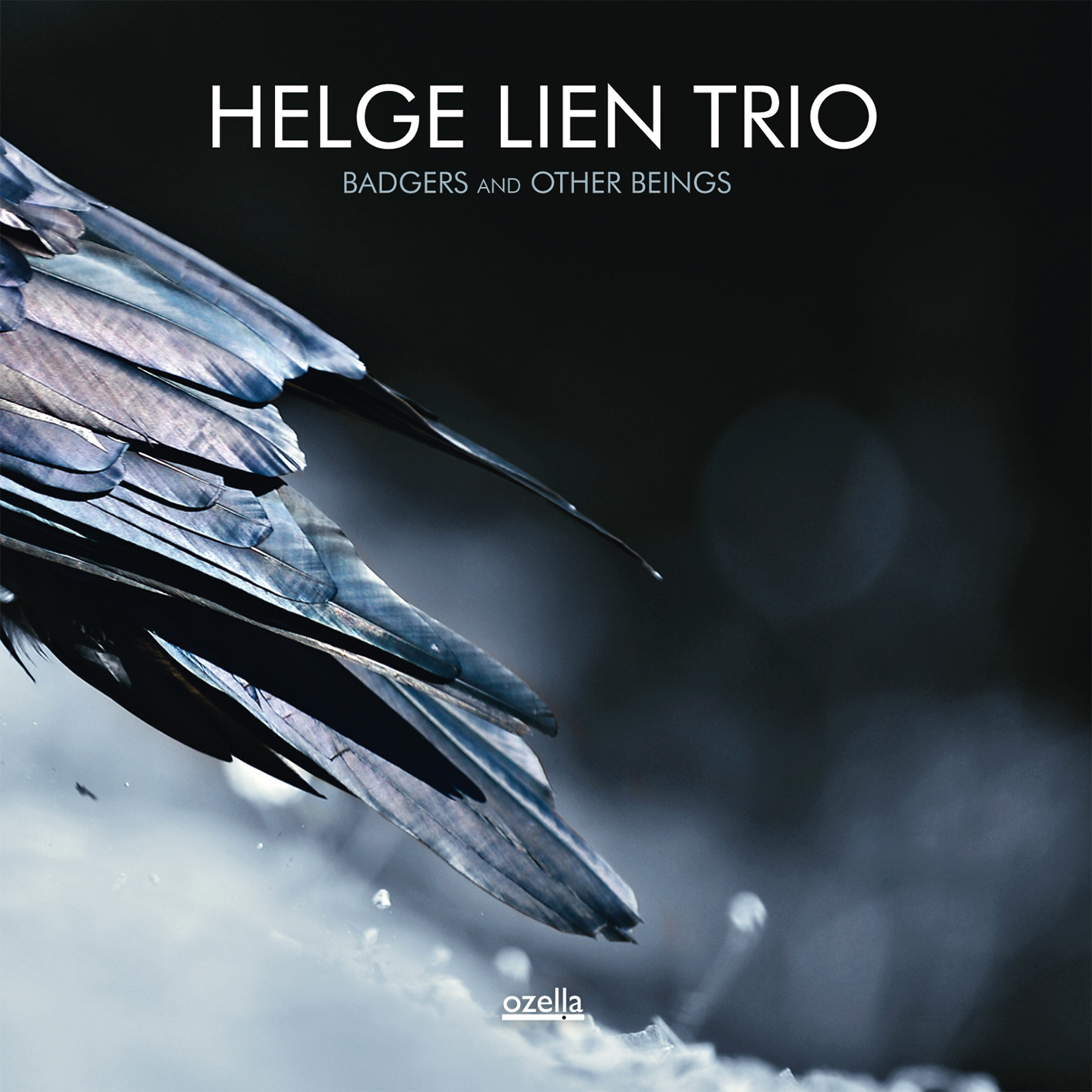 HELGE LIEN - Badgers And Other Beings cover 