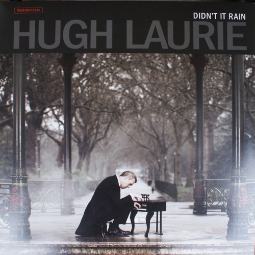 HUGH LAURIE - Didn't It Rain cover 