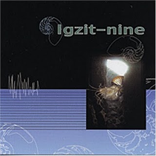 IGZIT NINE - Igzit-Nine cover 