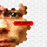 JAGA JAZZIST - Animal Chin cover 
