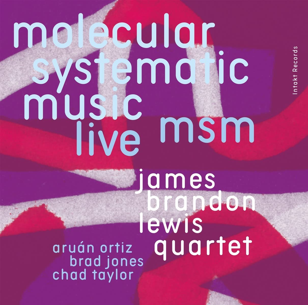 JAMES BRANDON LEWIS - Molecular Systematic Music : Live cover 