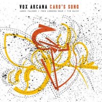 JAMES FALZONE - Vox Arcana : Caro's Song cover 