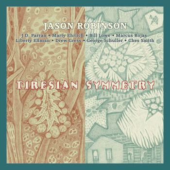 JASON ROBINSON - Tiresian Symmetry cover 