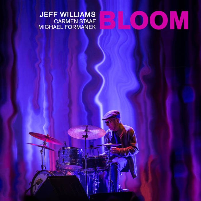 JEFF WILLIAMS - Bloom cover 
