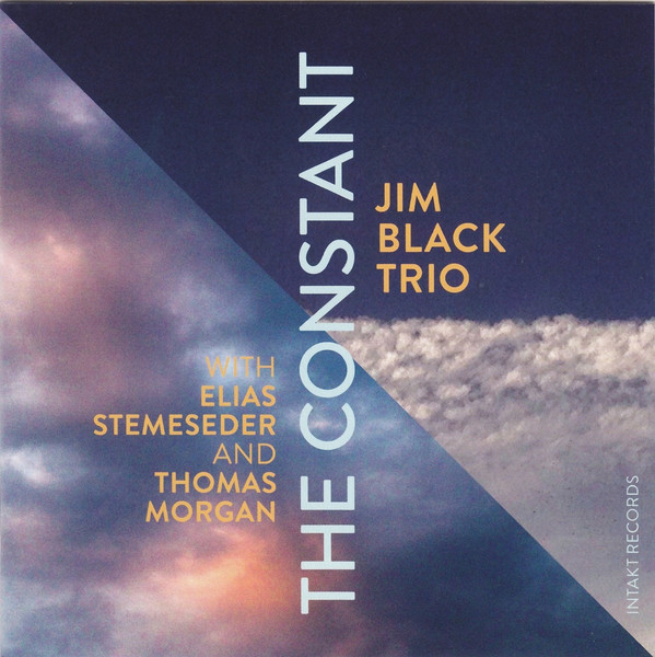 JIM BLACK - Jim Black Trio : The Constant cover 