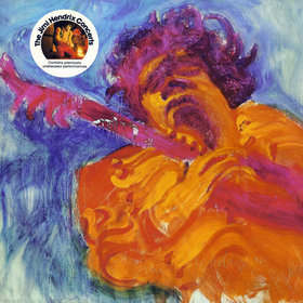JIMI HENDRIX - The Jimi Hendrix Concerts cover 