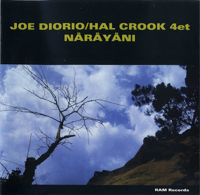 JOE DIORIO - Narayani cover 