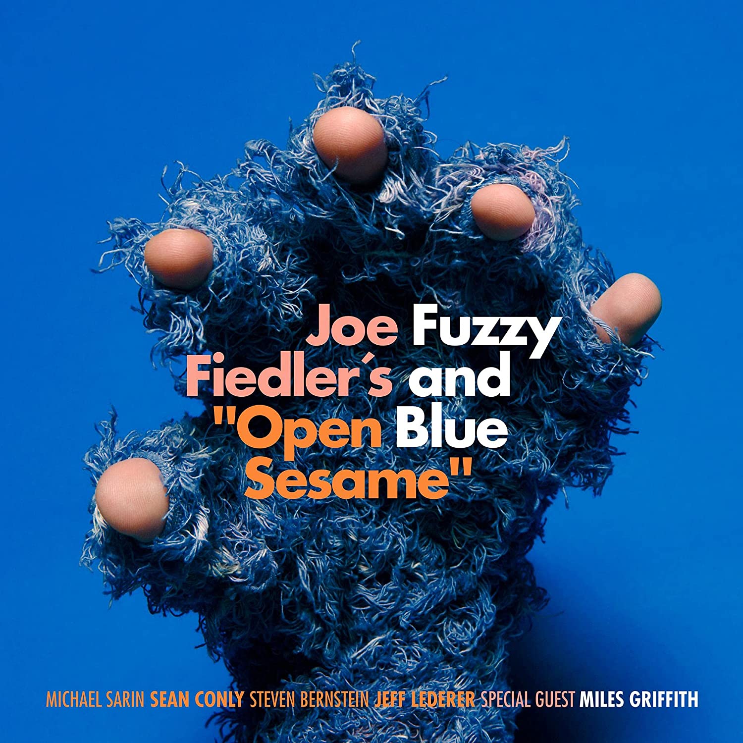 JOE FIEDLER - Fuzzy and Blue cover 